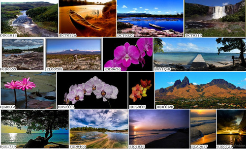 Gigantografias Fotomurales Vinilos Decorativos Venezuela