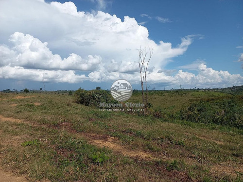 Imagem 8 de 8 de Venda Fazenda Machadinho D'oeste Em Rondônia - Fza373