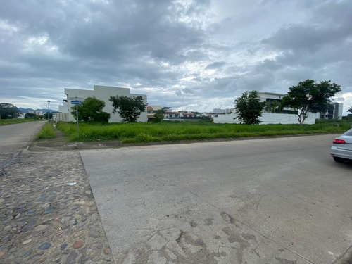 Imagen 4 de 8 de Terreno En Venta En Esquina Fluvial Vallarta Puerto Vallarta