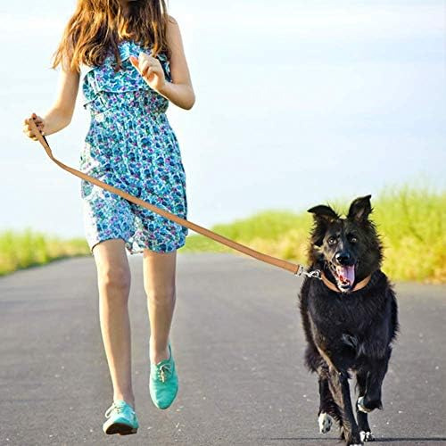 Funtags Correa Reflectante Para Perro De 4 Pies Con Mango Ac