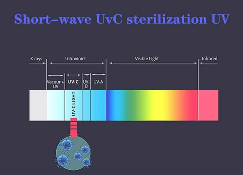 Imagen 9 de 10 de Lampara Esterilizadora Con Luz Ultravioleta Uv-c + Ozono