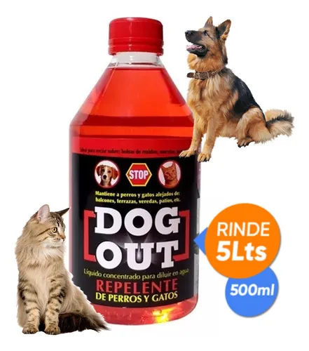 Dog out sale