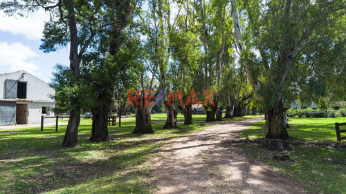 Chacra En Venta, 11 Hectáreas, En Pilar, Bs As