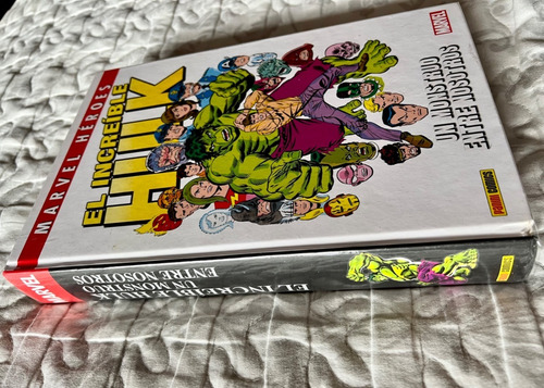 El Increíble Hulk: Un Monstruo Entre Nosotros - Panini (Usado)