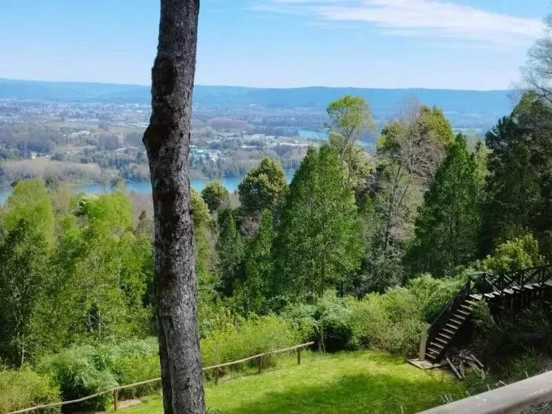 Imagen 3 de 18 de Quitacalzón Alto Con Casa Y Cabaña En Venta Vista Al Rio