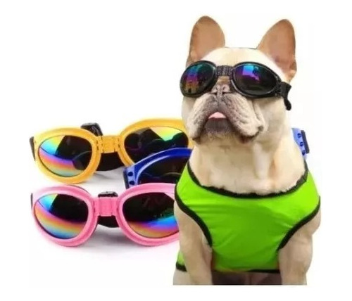 Gafas Para Perro