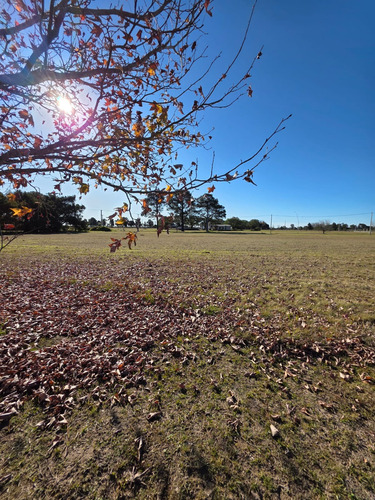 Terreno En Venta En Country Los Molinos