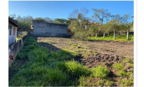 Imagem 1 de 1 de Terreno - Floresta - Ref: 246 - V-246