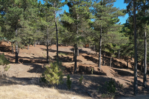 Exclusivo Terreno En Punta Puertecillo