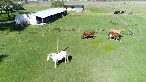 22 Hectareas Con Salon Cabañas Piscina Caballeriza