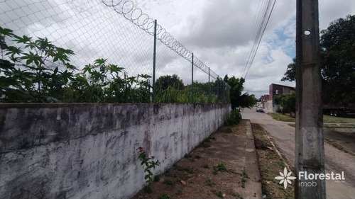 Imagem 14 de 14 de Casa De Esquina No Conjunto Feira Vi Com 250 M2 De Terreno - Ca0253