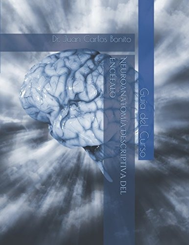 Neuroanatomía Descriptiva Del Encéfalo: Guía Contenidos Del 