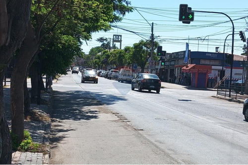 Arriendo Casa En Talagante
