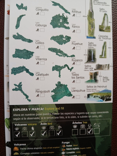 Rocas-minerales/bosque Esclerofilo/templado/humedales. Pack4