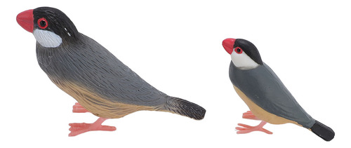 Juego De Modelos De Aves, Juguete Para Incubar Con Ciclo De