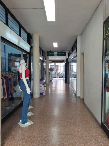 Jm Se Alquila Local Comercial En Galería