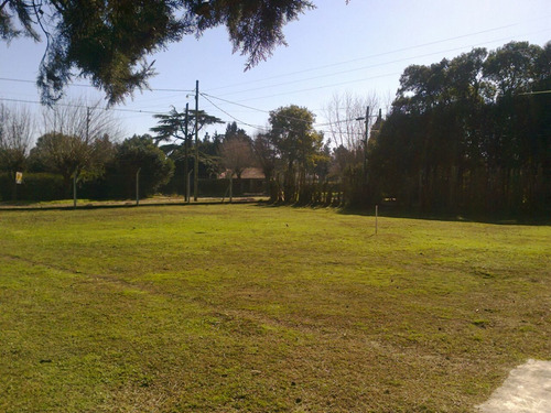 Pontevedra: Casa 3 Amb. C/gran Parque 1200 M2