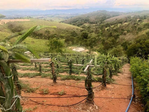 Imagem 27 de 30 de Chácara Com 2 Dormitórios, 20000 M² - Venda Por R$ 580.000,00 Ou Aluguel Por R$ 2.800,00/mês - Piedade - Caçapava/sp - Ch0136