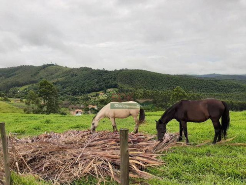 Imagem 5 de 11 de Lindo Sítio À Venda Em Salesópolis - Sp, 248000 M² Por R$ 1.800.000,00 - Ch0477