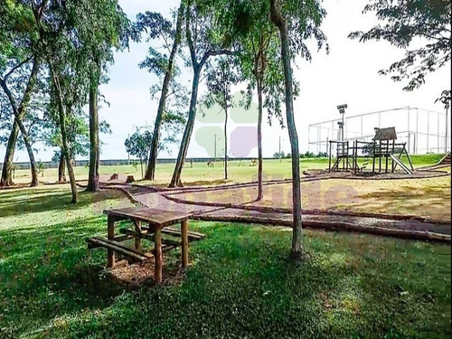 Imagem 20 de 28 de Terreno Industrial, W Park Condomínio Industrial, Mogi Mirim - Te08619 - 34837535