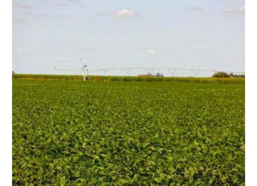 Imagen 2 de 2 de Vendo 69 Hectáreas Agrícolas En Córdoba