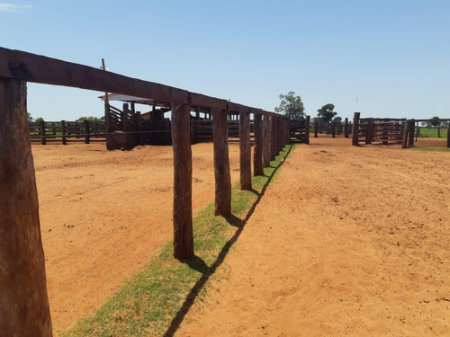 Imagem 3 de 11 de Fazenda Para Venda Em Santa Rita Do Pardo, Rural - Fazgu 315_1-1947859