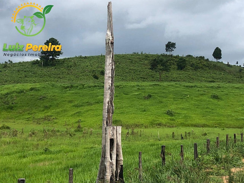 Imagem 14 de 15 de Fazenda À Venda Em Pacajá - Pa 692,12 Hectares - 2094