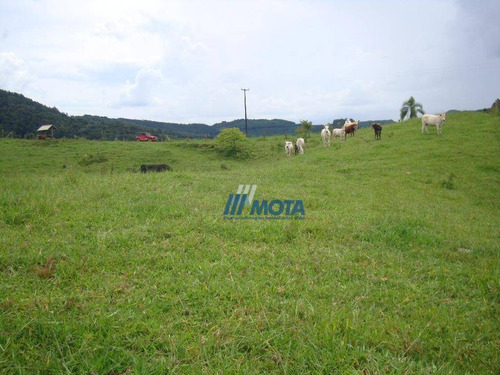 Fazenda Campo Largo 175,96 Alqueires - Fa0019