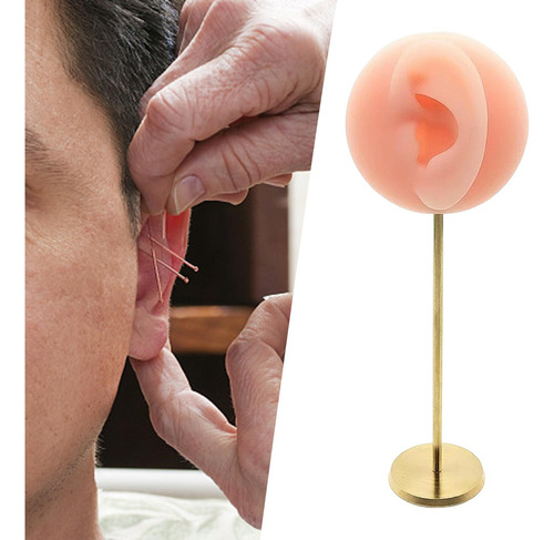 Modelo De Oreja, Soporte De Rosa Izquierda Rosa Izquierda