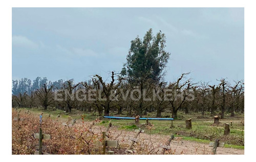 Imagen 8 de 11 de Campo En Chimbarongo