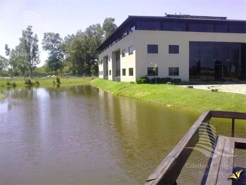 Imagen 8 de 9 de Oficina - Riviera Park