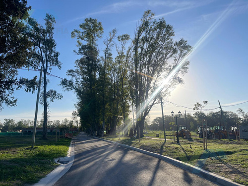 Venta De Lote En Santa Sofia - Pilar Del Este