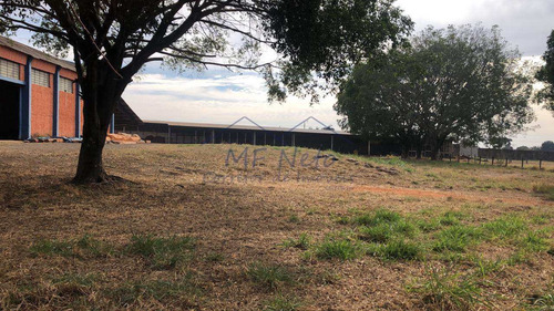 Imagem 21 de 22 de Galpão, Vila Nova, Pirassununga, Cod: 10132082 - A10132082