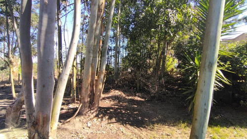 Imagen 3 de 24 de Terreno En Venta En Balneario Buenos Aires