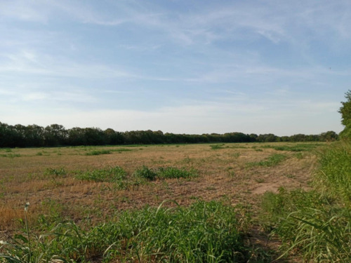Imagen 4 de 9 de Campo En El Quebrachal