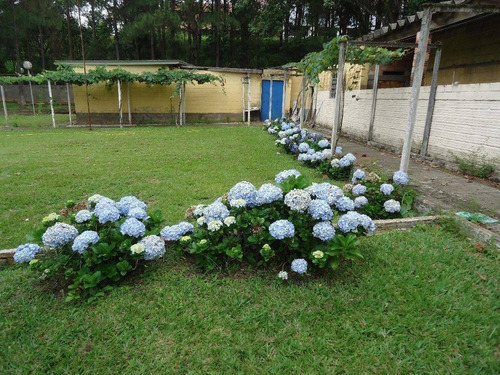 Chácara Rural À Venda, Jardim Jóia, Arujá - Ch0034. - Ch0035