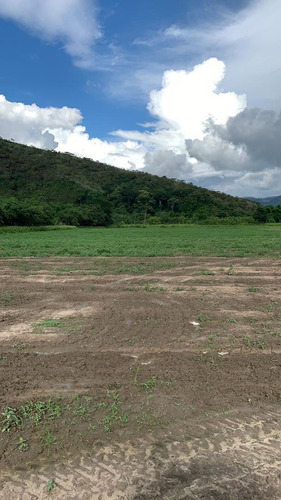 Finca Agropecuaria En Montalbán Cod. Indif-046