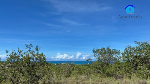 Imagem 7 de 12 de Terreno 3.000m² Em Tabatinga (excelente Para Condomínios E Hotéis) - Te0784