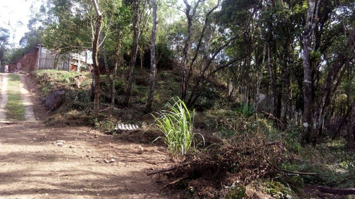 Imagem 10 de 14 de Sitio Com Uma Casa 2 Quartos