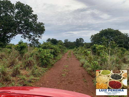 Imagem 12 de 15 de Fazenda À Venda Em Monte Santo - To - De 83 Alqueirões (dupla Aptidão) - 1623