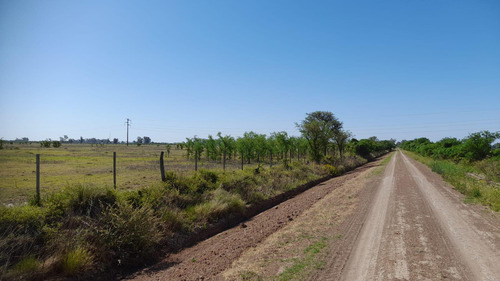 Campo 230 Has En Bella Italia