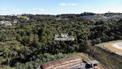 Imagem 12 de 23 de Área À Venda, 11914 M² Por R$ 5.766.419,56 - Cidade Industrial - Curitiba/pr - Ar0007