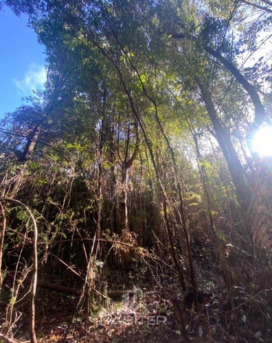 Parcela En Venta En Hualaihue