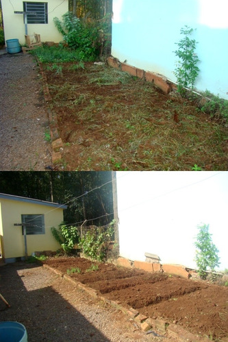 Imagem 4 de 4 de Limpeza De Quintal E Jardinagem