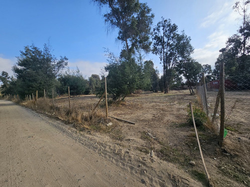 Vendo Sitio De 5580 M2 En Queronque Los Laureles Limache.