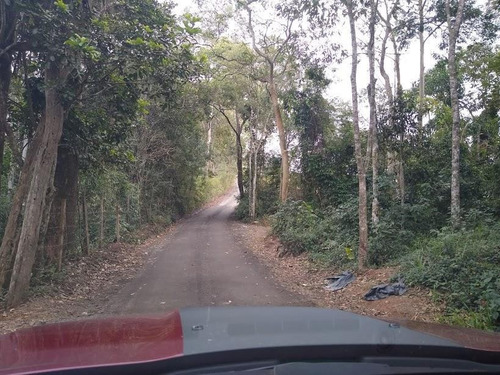 Área 94.252,82 M² Para Incorporação E Empreendimentos De Moradias Populares, Oportunidade Investidores/constutores - Te0012
