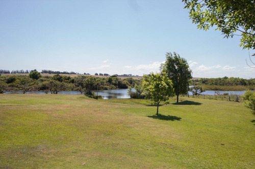 Imagen 8 de 10 de Campo - José Ignacio