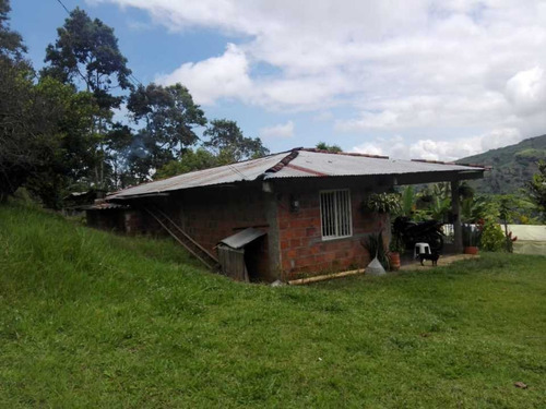 Imagen 2 de 10 de Venta Finca En Génova, Quindío