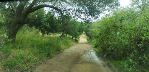 En Venta Terreno De 2500 Mts Opcion A 1 Hectarea En San Antonio De Las Minas, Prop. Privada, Rustico, En Loma Vista, Ruta Vino
