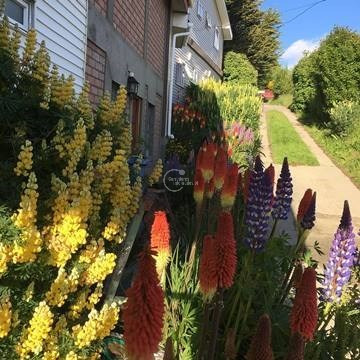 Casa En Venta De 9 Dorm. En Punta Arenas Funciona Como Hotel